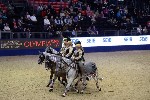 Quadrille - 00846